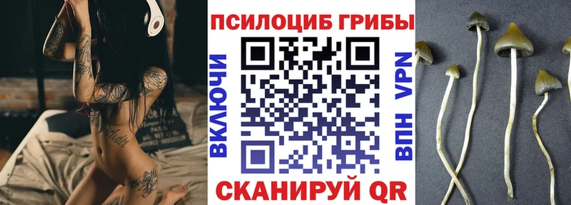 Галлюциногенные грибы прущие грибы  Купить где  Нурлат 